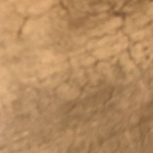 Meet your Posher, Seanoa